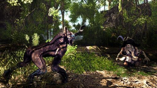 Risen 2 - Новые скриншоты Risen 2 Dark Waters.